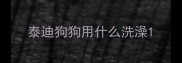 泰迪狗狗用什么洗澡