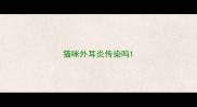 猫咪外耳炎传染吗