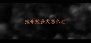 拉布拉多犬怎么吐