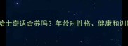 两年大的母哈士奇适合养吗年龄对性格健康和训练的影响全