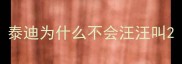泰迪为什么不会汪汪叫
