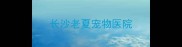 长沙老夏宠物医院