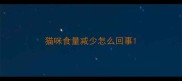 猫咪食量减少怎么回事
