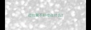 边牧胃不好吃点什么