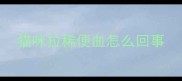 猫咪拉稀便血怎么回事