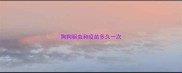狗狗驱虫和疫苗多久一次