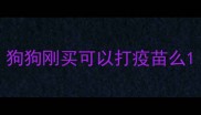 狗狗刚买可以打疫苗么