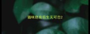 猫咪绝育后生无可恋