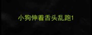 小狗伸着舌头乱跑