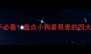 宠物健康科普新手必看盘点小狗最易患的四大疾病及预防指南