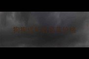 狗狗成年后疫苗价格