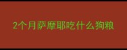 2个月萨摩耶吃什么狗粮