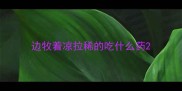 边牧着凉拉稀的吃什么药
