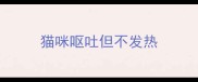 猫咪呕吐但不发热