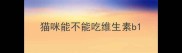 猫咪能不能吃维生素b