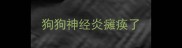 狗狗神经炎瘫痪了
