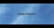 泰迪都没有尾巴吗
