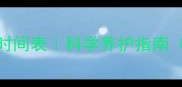 拉布拉多幼犬2个月睡眠时间表科学养护指南附夜间哭闹解决方法