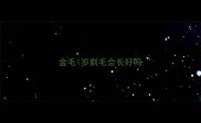金毛1岁剃毛会长好吗