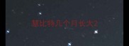 慧比特几个月长大
