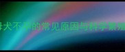 泰迪母犬不孕的常见原因与科学繁殖指南