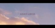 边牧的什么颜色贵