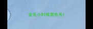 金毛小时候黑色毛