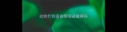边牧打完疫苗能保证健康吗