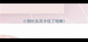 小狗吃东西卡住了咳嗽