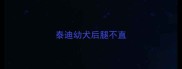 泰迪幼犬后腿不直