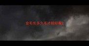 金毛长多久毛才能好看