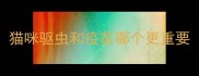 猫咪驱虫和疫苗哪个更重要