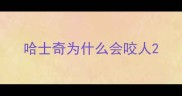 哈士奇为什么会咬人