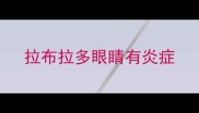 拉布拉多眼睛有炎症