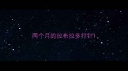 两个月的拉布拉多打针
