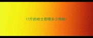 17斤的哈士奇喂多少狗粮