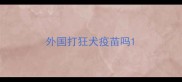 外国打狂犬疫苗吗