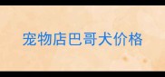 宠物店巴哥犬价格