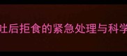 泰迪犬呕吐后拒食的紧急处理与科学调理指南