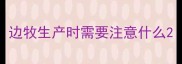边牧生产时需要注意什么