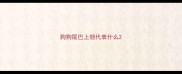 狗狗尾巴上翘代表什么