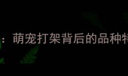 藏獒VS拉布拉多萌宠打架背后的品种特性与饲养指南