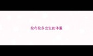 拉布拉多出生的体重
