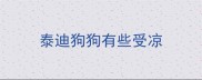 泰迪狗狗有些受凉