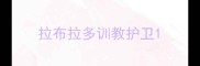 拉布拉多训教护卫