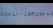 云南白药能用在狗狗身上吗宠物医生教你科学处理宠物伤口
