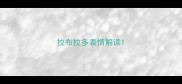拉布拉多表情解读