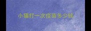 小猫打一次疫苗多少钱