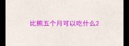 比熊五个月可以吃什么
