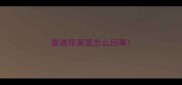 泰迪尿黄是怎么回事